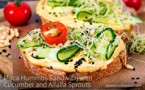 Maca Hummus Sandwich With Cucumber And Alfalfa Sprouts Delicious