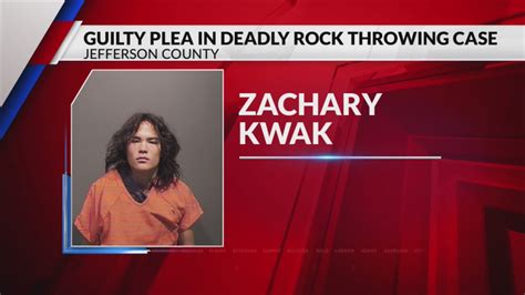 Suspect In Deadly Rock Throwing Case Pleads Guilty Fox31 Denver