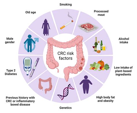 Risk Factors Of Colorectal Cancer BioRender Science Templates