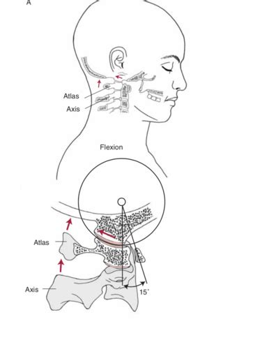 Cervical Spine Knes Flashcards Quizlet