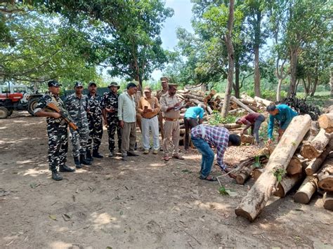 Forest Department Tightened Its Grip On Wood Mafia In Balrampur