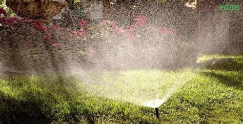 How to Install a Home Lawn Sprinkler System? | Eden Lawn Care and Snow Removal