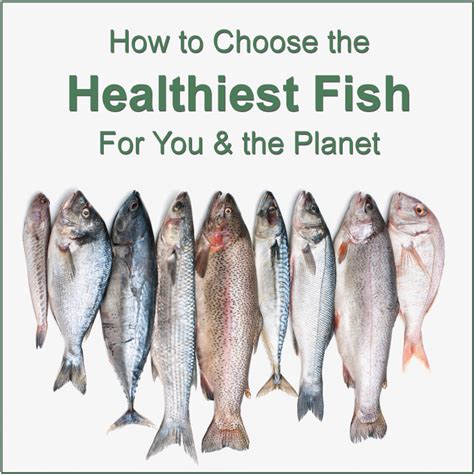 How to Choose the Healthiest Fish (For You & the Planet)