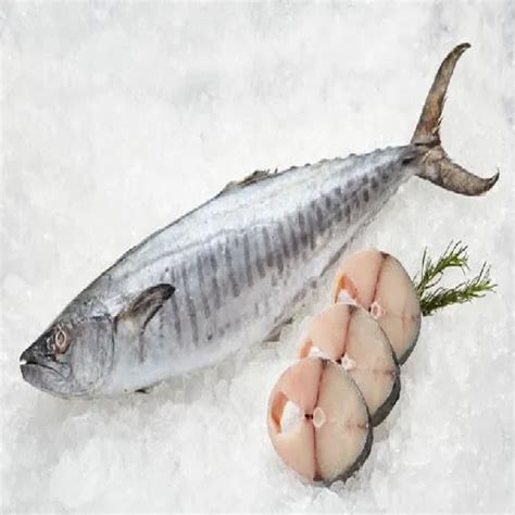 maitri fish center thane fresh surmai kingfish seer fish kg