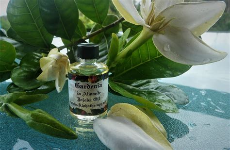 Gardenia Hawaiian Oil Exotic Flower Essence Alohatherapy Alohatherapy