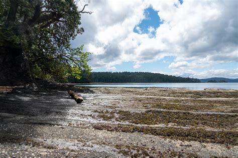 Camping on Galiano Island — Sidewalking Victoria