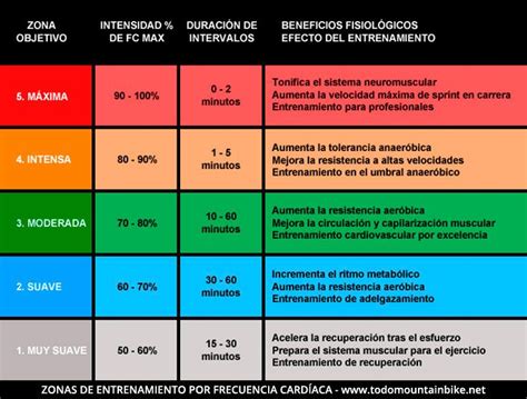 Guía Práctica Para Comenzar A Realizar Entrenamientos Basados En La Frecuencia Cardíaca Con