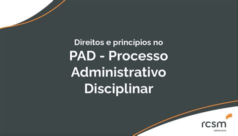 Direitos E Princ Pios No Pad Processo Administrativo Disciplinar