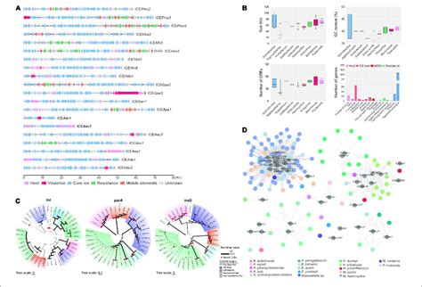 Heterogeneous Groups Of Integrative And Conjugative Elements Ices