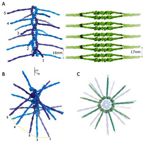 Symmetry | Special Issue : Symmetry in Structural Biology