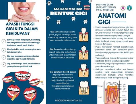 Leaflet Kesehatan Gigi Kesehatan Gigi Kedokteran Gigi