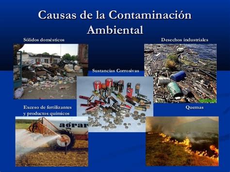 La Contaminacion Ambiental La Contaminacion Ambiental Mundial