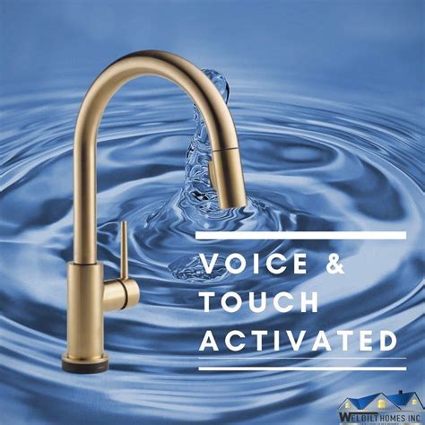 Voice Activated Faucet for Your New Home