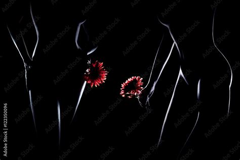 Nude Woman Sensual Erotic Stock Photo Adobe Stock