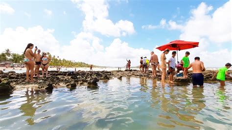 Praia Dos Carneiros Piscinas Naturais Tamandar Pernambuco Brasil Youtube