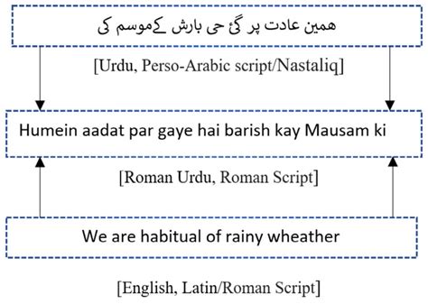 Script and Morphological variability in Roman Urdu, Urdu, and English ...