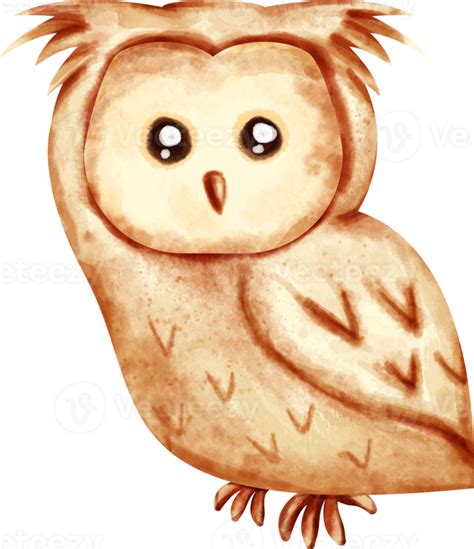 Watercolor Owl Clip Art 23296875 Png