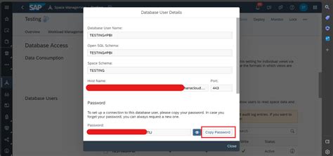 Consuming Data From Sap Datasphere Into Power Bi V Sap Community