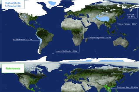 Homo Sapiens Developed A New Ecological Niche That Separated It From