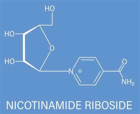 Nicotinamide Riboside và cách dùng ngăn ngừa lão hóa