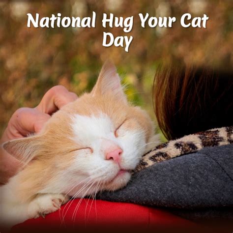 National Hug Your Cat Day Template Postermywall