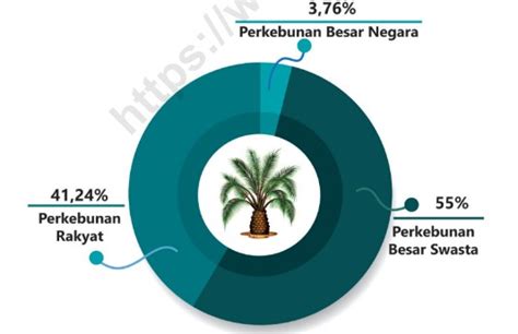 Ada 3 Jenis Status Pengusahaan Kebun Sawit Di Indonesia Apa Saja