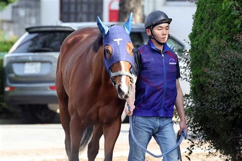 【日本ダービー】過去最多勝の絶好枠をゲット！ソールオリエンス無敗2冠へ視界良好 サンスポzbat