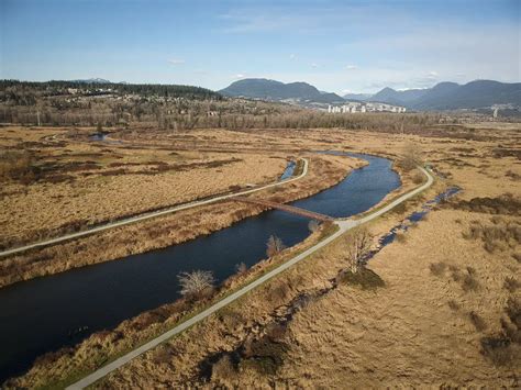 Hiking Colony Farm In Port Coquitlam | Outdoor Vancouver