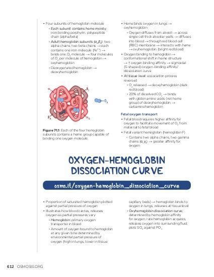 Oxygen-hemoglobin dissociation curve: Video, Causes, & Meaning | Osmosis