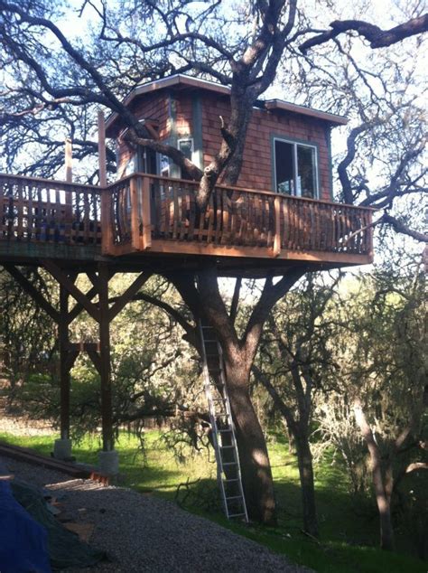 33 DIY Tree House Plans & Design Ideas for Adult and Kids (100% Free)