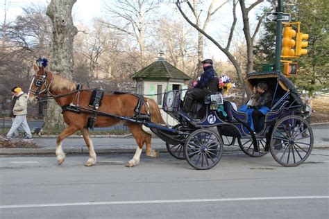 New York Central Park Horse Drawn Carriage Ride With Photos