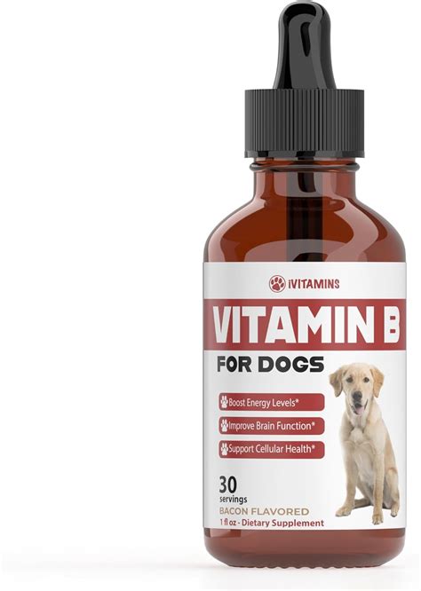 Vitamina B Para Perros Complejo De Vitamina B Para Perros Vitamina B12