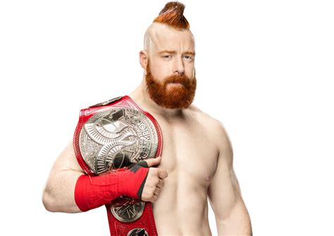 Sheamus Wwe World Tag Team Champion By Wwematchcard On Deviantart