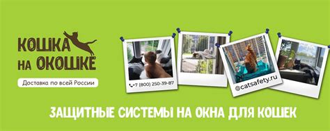 Кошка на окошке - защита на окна антикошка | Изготавливаем защиту на ...