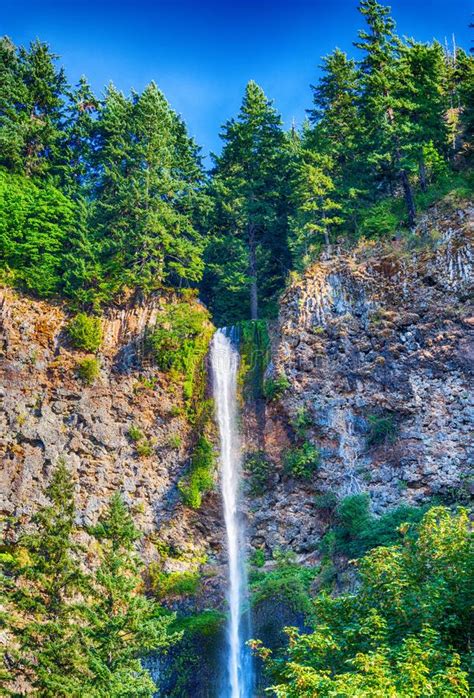 Multnomah Falls, Oregon stock image. Image of oregon - 127051885