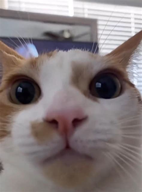 I Just Made This Character How The Fuck Should I Named It R BatmanArkham