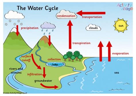 Water Cycle Diagram With Explanation