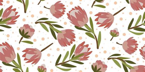 Protea Vector Art, Icons, and Graphics for Free Download