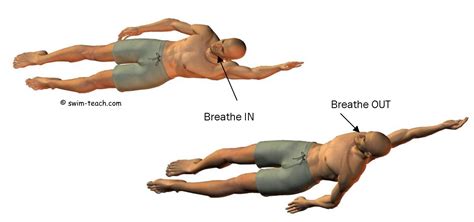 Backstroke Diagram