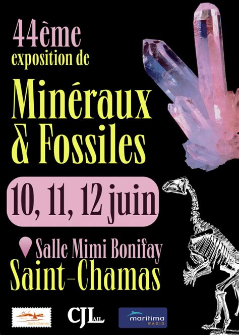 Saint Chamas 44eme Salon Des Mineraux Et Des Fossiles