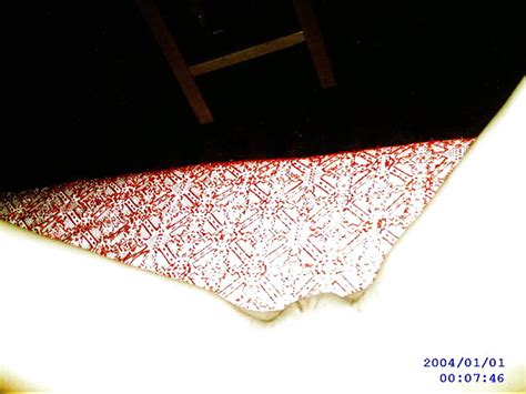 Bulgarian Amateur Girl Porn Pictures XXX Photos Sex Images 294321 PICTOA