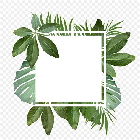 Tropical Leaves Border Clipart Transparent Background, Summer Border ...