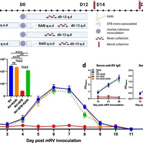 Flagellin Inhibition Of Mrv Infection Is Independent Of Rar Signaling