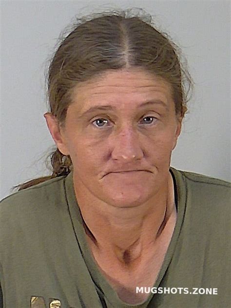 Wendy Lee Shipp Lake County Mugshots Zone