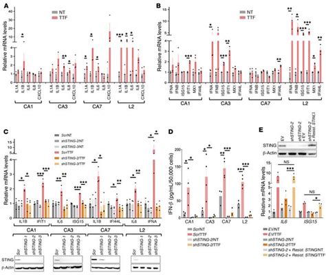 Jci Tumor Treating Fields Dually Activate Sting And Aim