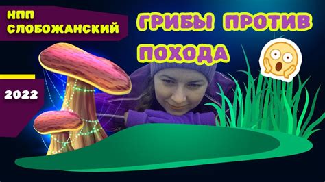 Грибы против похода - YouTube