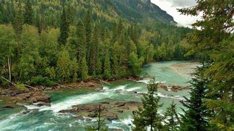 Fraser River from the Overlander Falls Trail