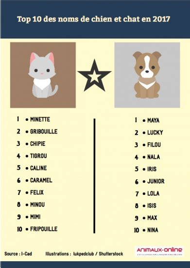 Top Des Noms Les Plus Donn S Aux Chats Et Chiens En