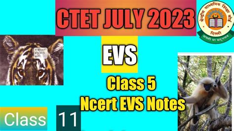 Ctet Ctet July Ncert Ctet