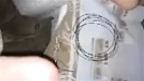 Free Amateur Homemade Wife Porn Videos 916 XHamster